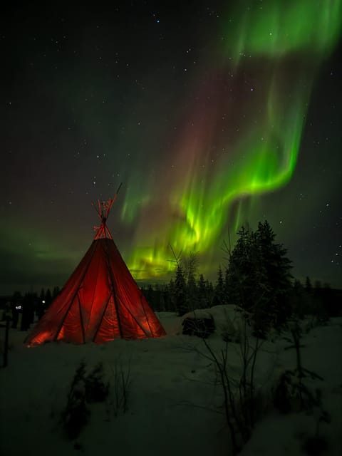 Rovaniemi: Northern Lights Tour at the Campfire - Who should book this campfire Aurora tour, and who should look elsewhere