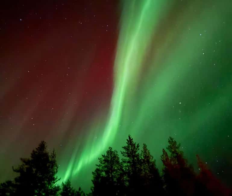 Rovaniemi: Northern Lights Tour - Aurora Viewing Guaranteed - Key things I’d circle before you book