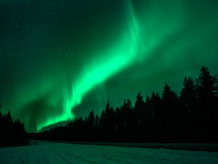 Rovaniemi: Northern Lights Tour with Guaranteed Sightings - Quick hits before you commit