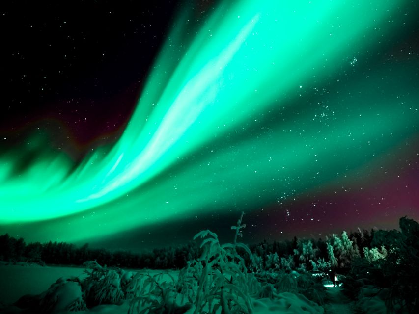 Rovaniemi: Northern Lights Tour with Guaranteed Sightings - The van makes or breaks the cold: 2025 comfort on winter roads