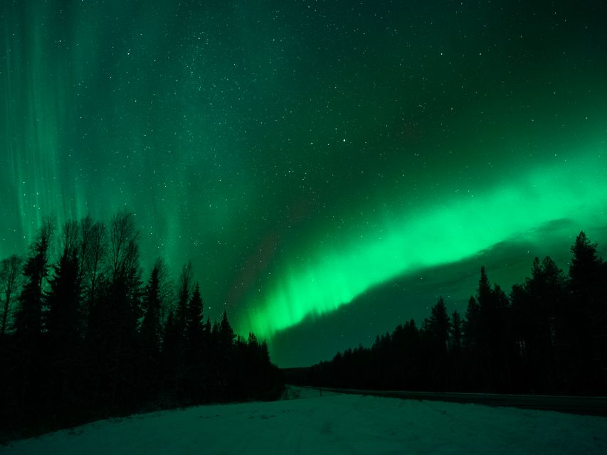 Rovaniemi: Northern Lights Tour with Guaranteed Sightings - Viewing stops: warmth, timing, and photo help that doesn’t feel rushed