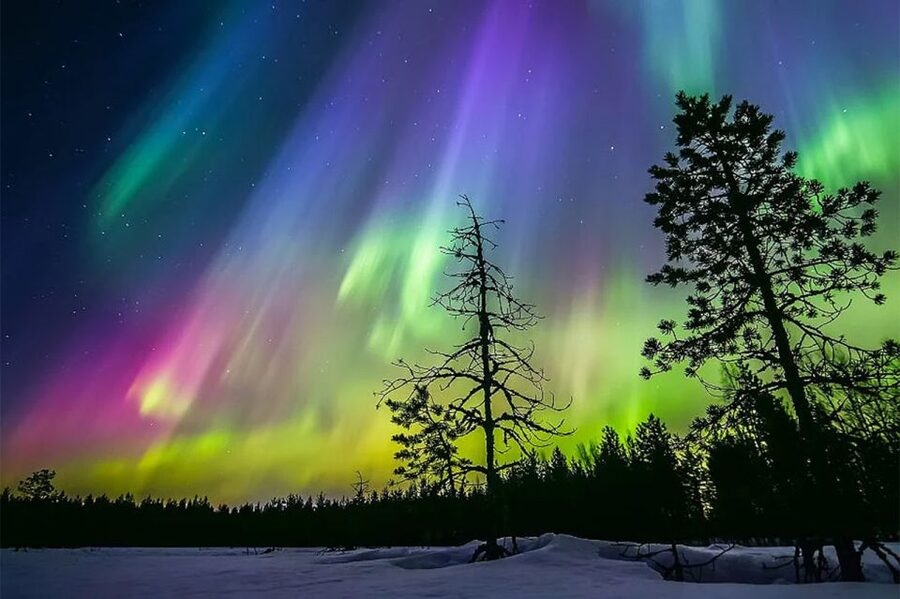 Rovaniemi: Northern Lights Trip with Arctic Sauna & Jacuzzi - Price and value: is $101 per person fair?