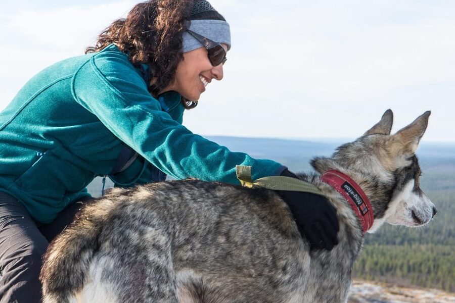 Rovaniemi: One Hour Husky Experience - Key things to know before you go