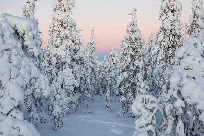 Rovaniemi photography tour - Stop 2: Arktikum for frozen river scenes and better compositions