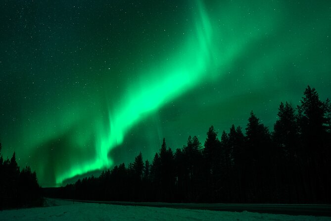 Rovaniemi: Private Aurora Tour with Guaranteed Sightings - Private bus, personal guide, and why that changes your odds