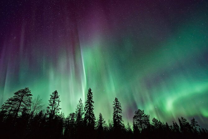Rovaniemi: Private Aurora Tour with Guaranteed Sightings - The Rovaniemi viewing strategy: flexibility beats fixed spots