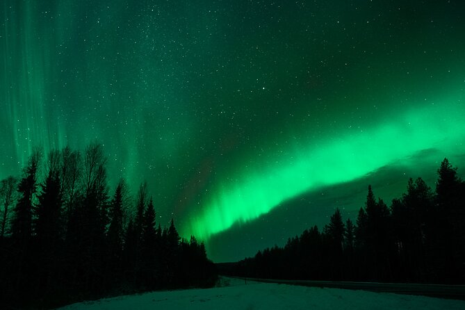 Rovaniemi: Private Aurora Tour with Guaranteed Sightings - Price and value: is $349.51 per person worth it?