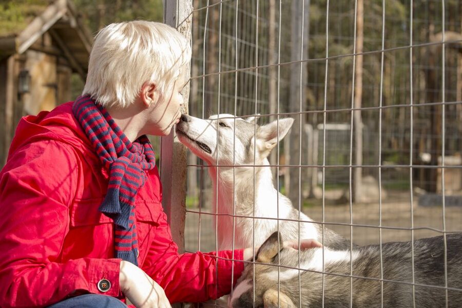 Rovaniemi: Quad Bike Safari, Reindeer & Husky Farm Visit - Where your Rovaniemi afternoon starts by Rosso restaurant