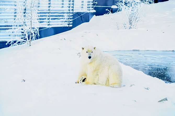 Rovaniemi: Ranua Arctic Wildlife Zoo Park Tour & Hot BBQ lunch - Key highlights at Ranua Zoo and lunch