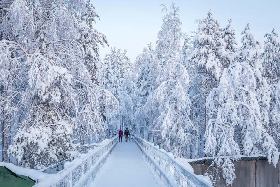 Rovaniemi: Ranua Zoo Wildlife Park Tour with hotel pickup - Price and Value: Is $135 a Good Deal for a 5-Hour Arctic Wildlife Tour?