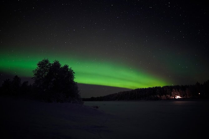 Rovaniemi – Real Northern Lights Hunting Experience (Small Group) - Pickup, language, and getting moving on time (without drama)