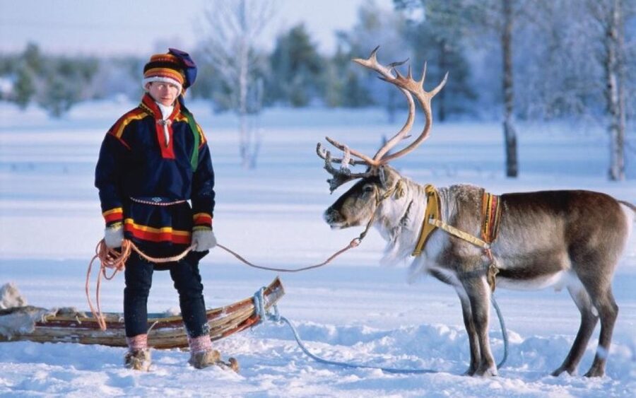 Rovaniemi: Reindeer Farm Tour with Sledge Ride & Pickup - Warm drinks and the herders’ house stop: comfort after the cold