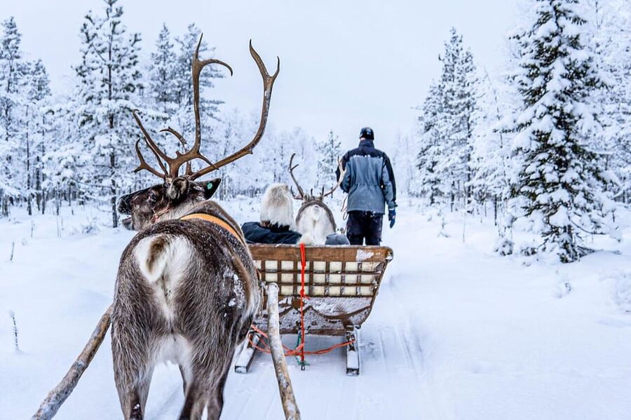 Rovaniemi: Reindeer Farm Visit and Sleigh Ride with transfer - Should You Book It?