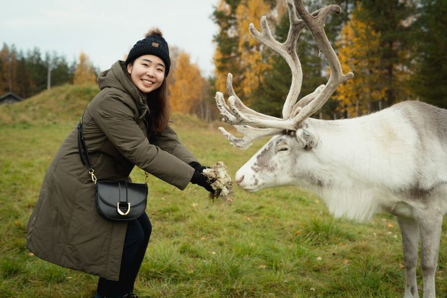 Rovaniemi: Reindeer Farm Visit with Photographer - The 400m sleigh ride: fun if snow cooperates