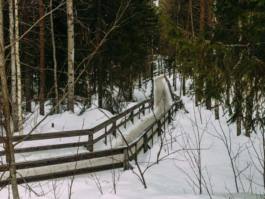 Rovaniemi: Reindeer Farm Visit with Sleigh Ride & Pickup - Key highlights to look forward to