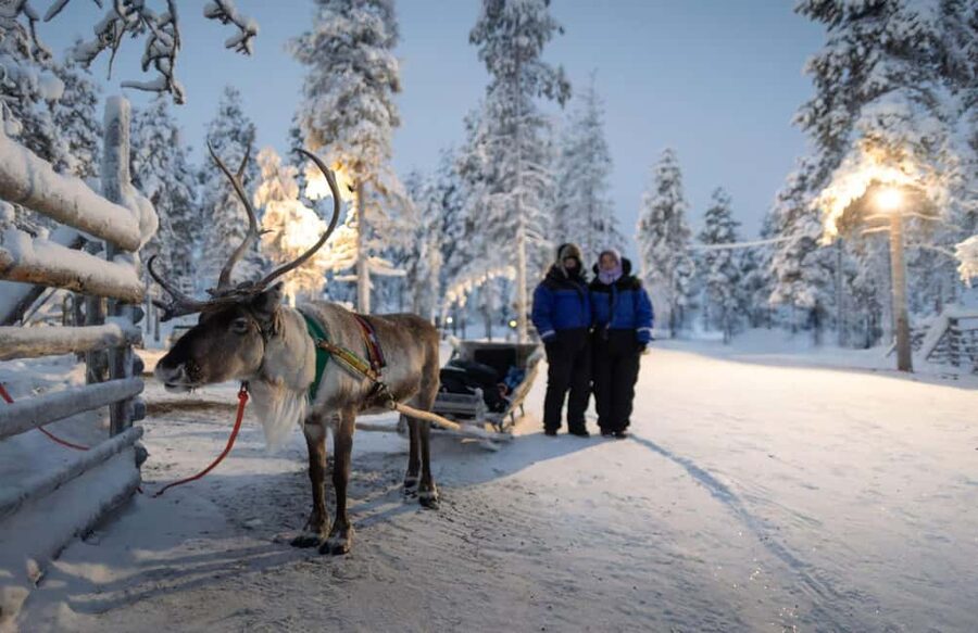 Rovaniemi: Reindeer Farm Visit with Sleigh Ride & Snacks - What this Rovaniemi reindeer farm tour really delivers