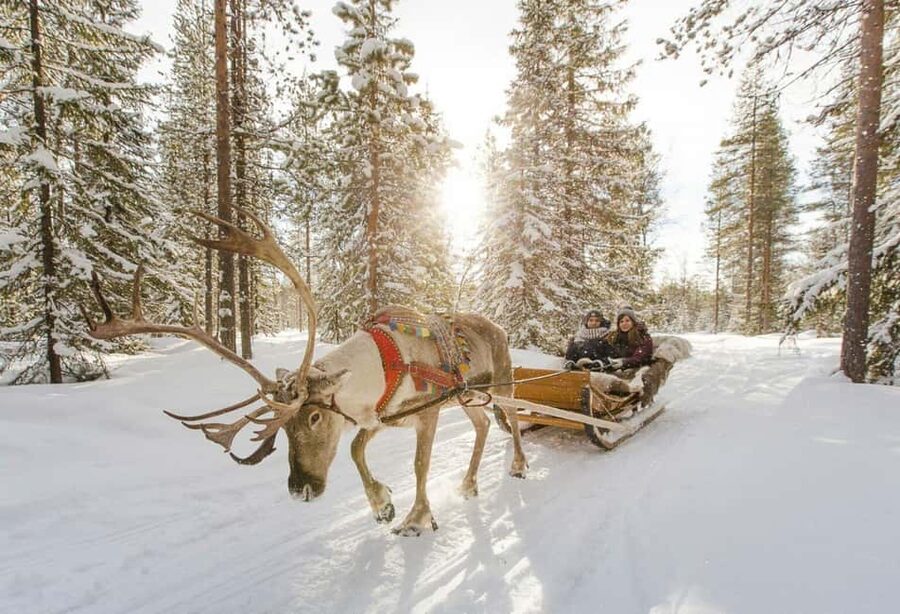 Rovaniemi: Reindeer Farm Visit with Sleigh Ride & Snacks - Warming up in a kota hut with hot drink and cookies