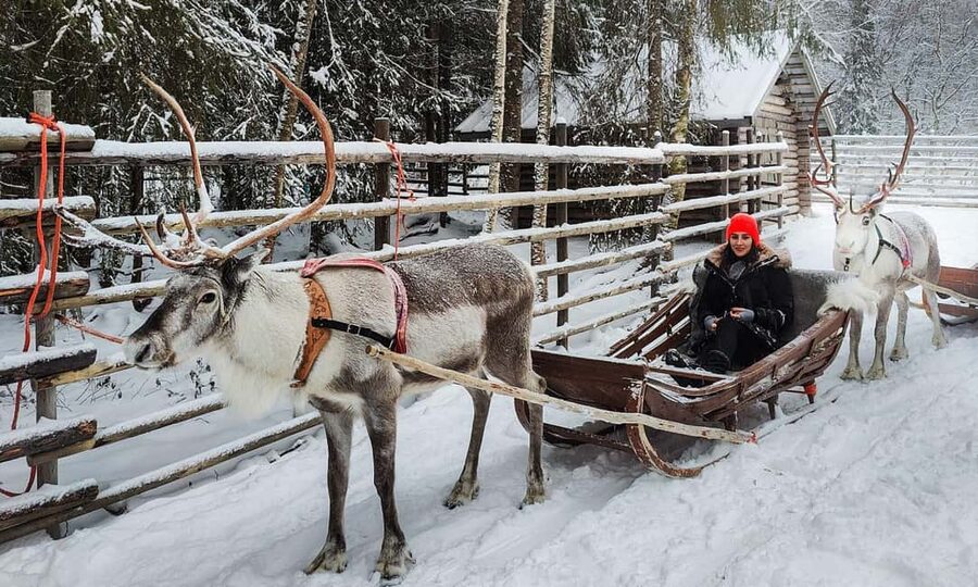 Rovaniemi: Reindeer Farm Visit with Sleigh Ride & Snacks - Sámi culture stories: what you can expect to learn