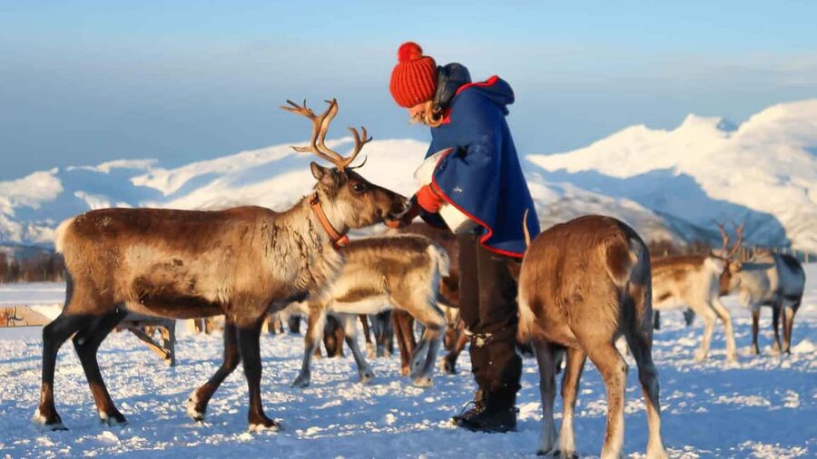 Rovaniemi: Reindeer Farm Visit with Sleigh Ride & Snacks - Timing and how the 2 hours add up