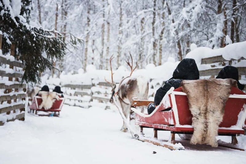Rovaniemi: Reindeer, Huskies & Santa Claus Village - Alaskan huskies in action: short ride, big personality
