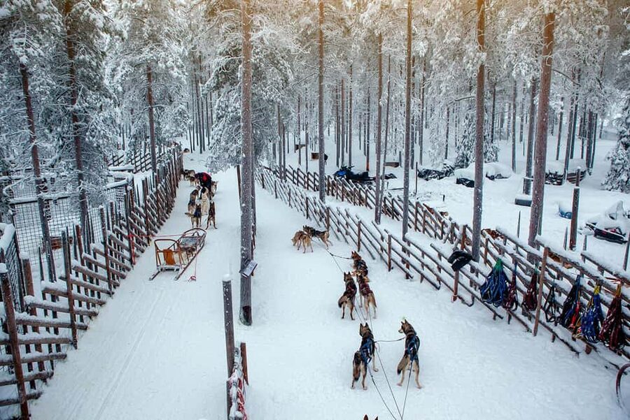 Rovaniemi: Reindeer & Husky Ride with Santa Claus Village - How This 6-Hour Lapland Plan Actually Flows