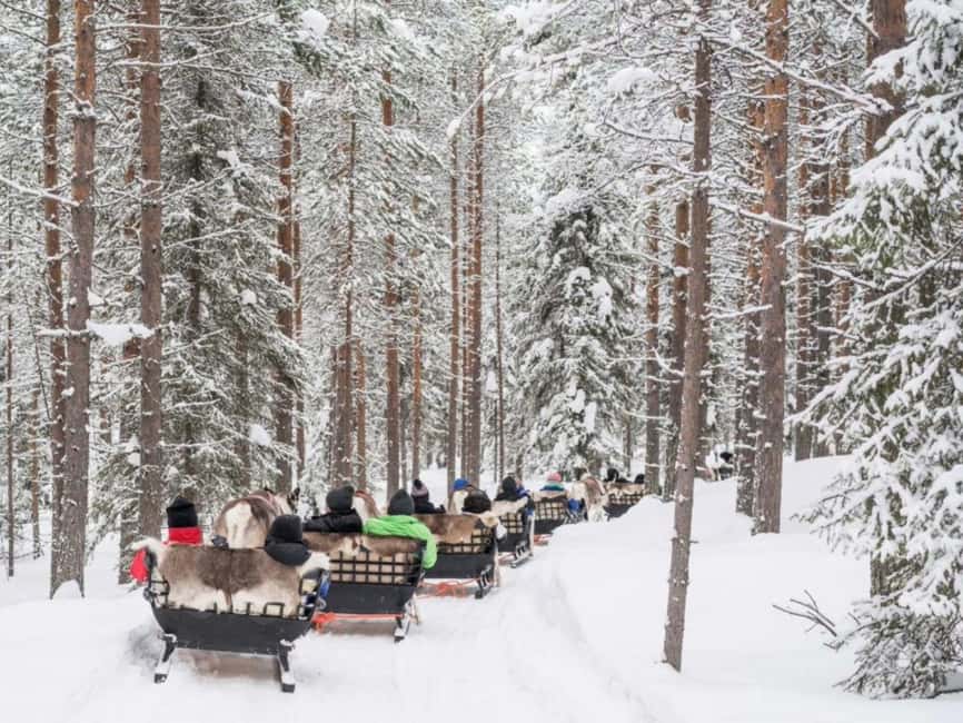 Rovaniemi: Reindeer Safari at 200-Year-Old Farm & Sled Ride - Inside the kota: hot drinks, herder stories, and your certificate