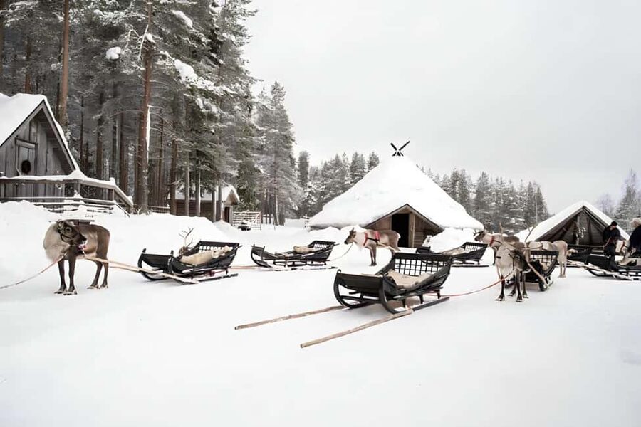 Rovaniemi: Reindeer Safari at 200-Year-Old Farm & Sled Ride - Why the ride feels smoother with small groups and modern vans