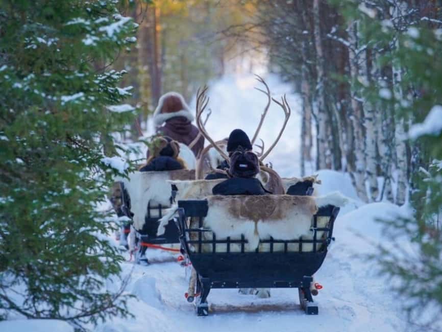 Rovaniemi: Reindeer Safari at 200-Year-Old Farm & Sled Ride - Price and time: is $211 per person worth it?