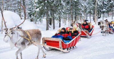 Reindeer Sleigh Ride with Hot Drink and Cookies