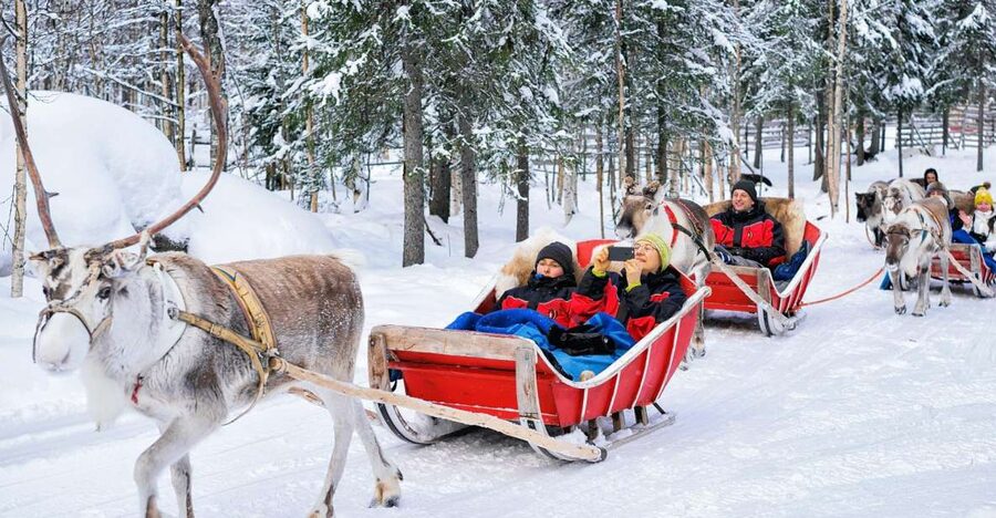 Rovaniemi: Reindeer Sleigh Ride with Hot Drink and Cookies - Oldest farm near Rovaniemi, and how that translates on the ground