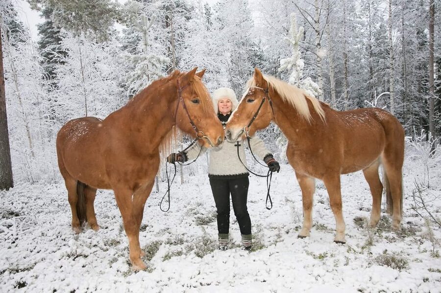 Rovaniemi: Riding Tour with Finnhorses at SCV - Seasonal Magic in Lapland, and What Changes in Each Month