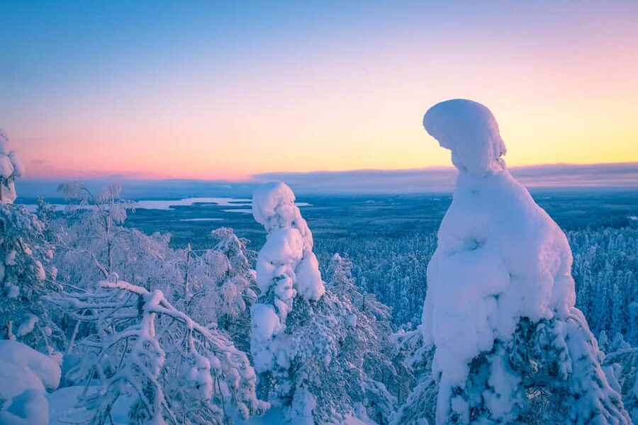 Rovaniemi: Riisitunturi Guided Hike with Photography and BBQ - Key takeaways before you go