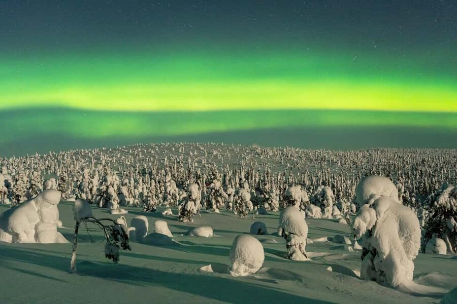 Rovaniemi: Riisitunturi Guided Hike with Photography and BBQ - Rovaniemi Pickup and the 2-Hour Van Ride Into Lapland