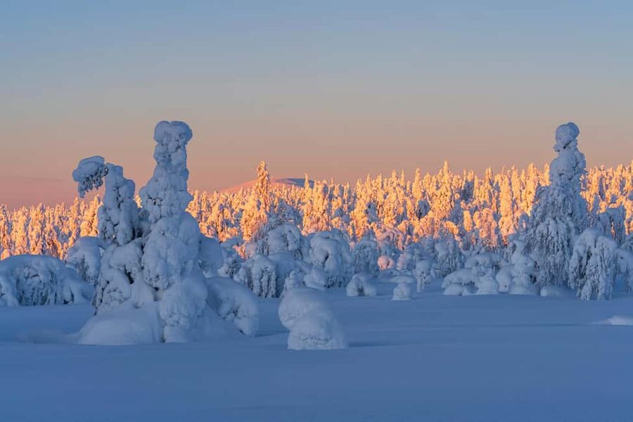Rovaniemi: Riisitunturi Guided Hike with Photography and BBQ - How the Photo Plan Works Without Turning the Walk Into Work