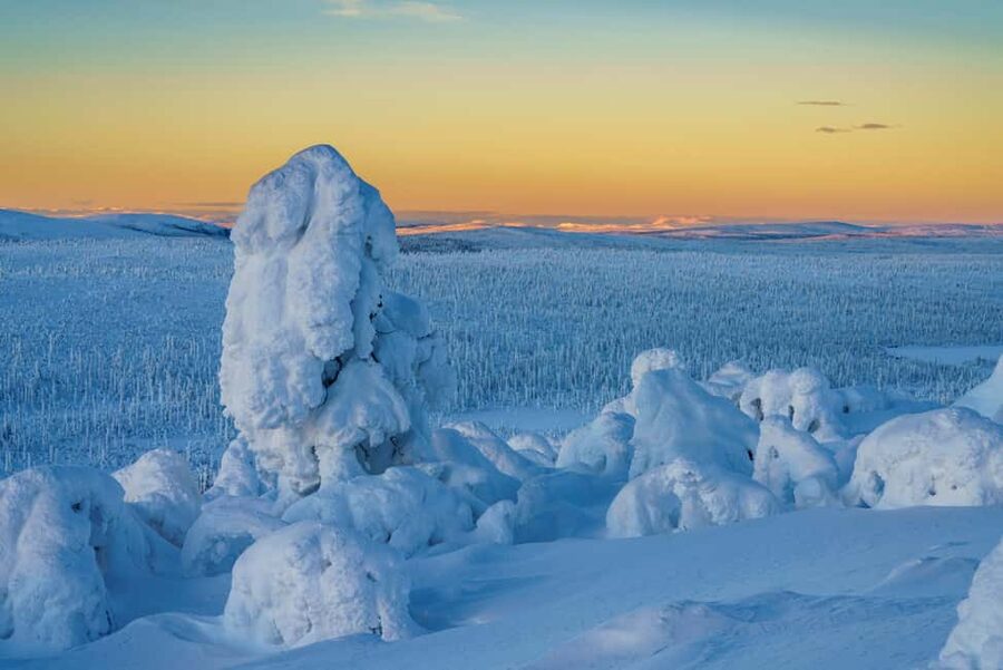 Rovaniemi: Riisitunturi Guided Hike with Photography and BBQ - Riisitunturi National Park Hike: What 4.3 km in Snow Really Means