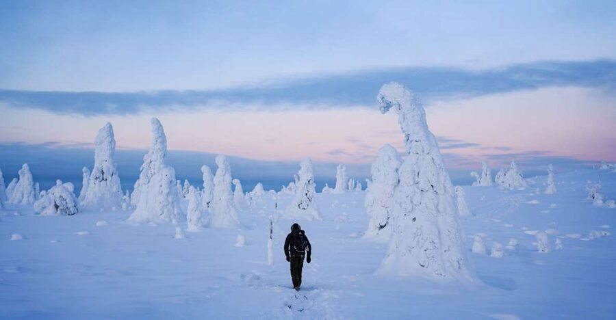 Rovaniemi: Riisitunturi National Park Day Trip with Lunch - Riisitunturi Marshmallow Trees, Snowshoes, and a Campfire Lesson