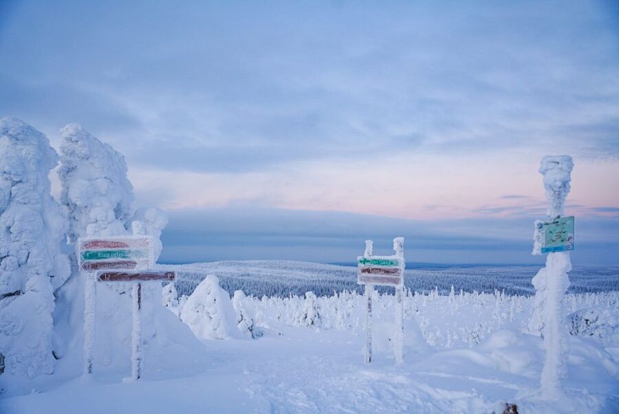 Rovaniemi: Riisitunturi National Park Day Trip with Lunch - FAQ