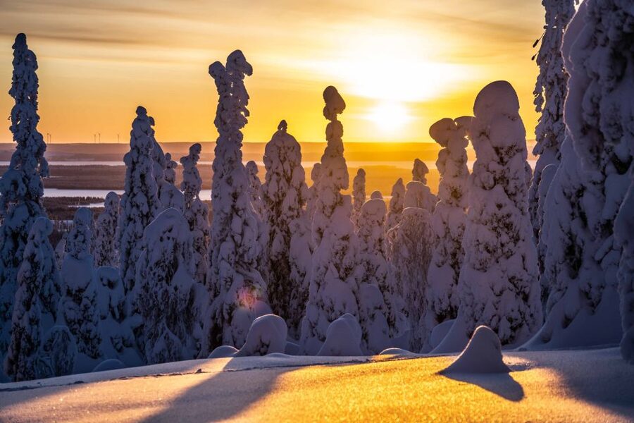 Rovaniemi: Riisitunturi National Park with Pro Photos & BBQ - Getting there and back: the day’s 9-hour rhythm from Rovaniemi