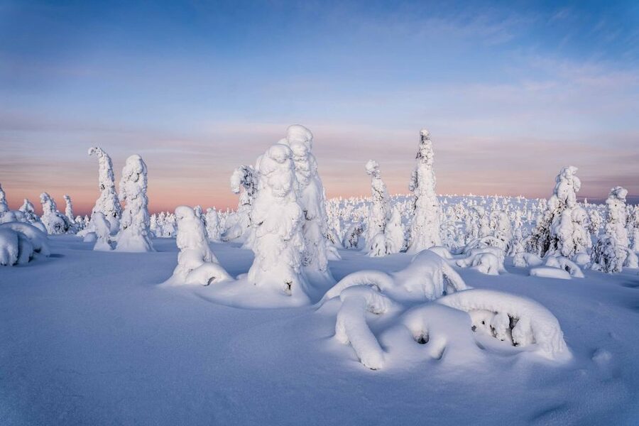 Rovaniemi: Riisitunturi National Park with Pro Photos & BBQ - Photo stops that turn walking into a story