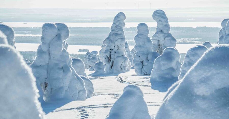 Rovaniemi: Riisitunturi National Park with Pro Photos & BBQ - What you get after: edited photos that save you time and stress