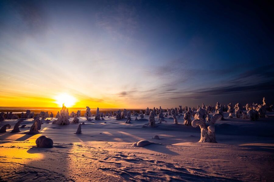 Rovaniemi: Riisitunturi National Park with Pro Photos & BBQ - Small group size and included gear, and whether $159 is fair