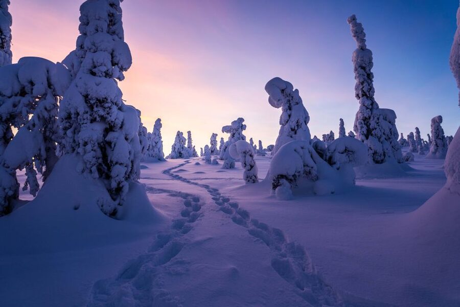 Rovaniemi: Riisitunturi National Park with Pro Photos & BBQ - Weather reality: cloudy days, blue skies, and keeping expectations right