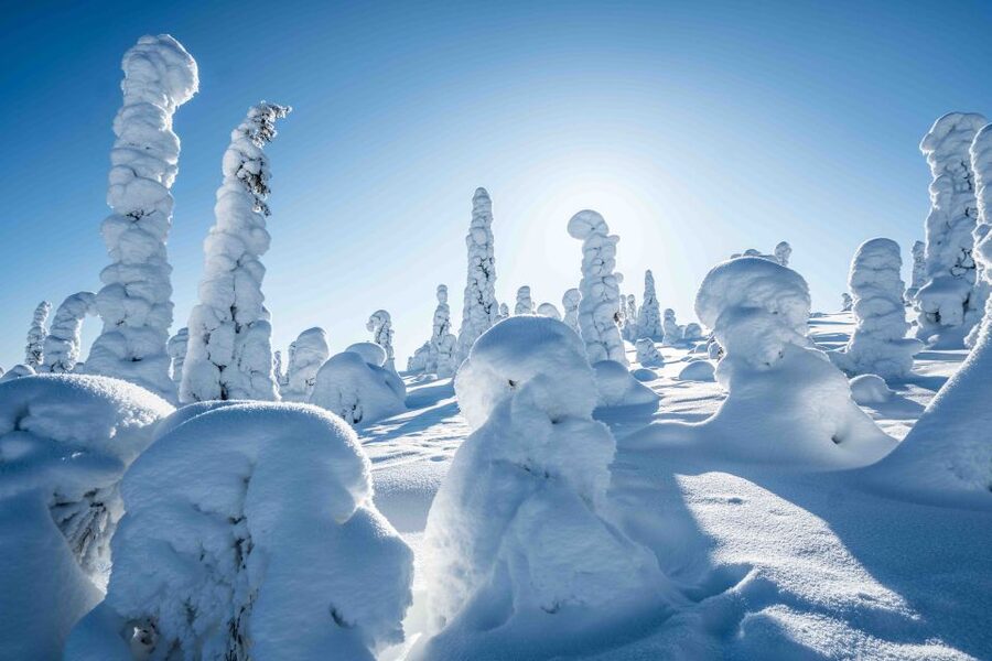 Rovaniemi: Riisitunturi National Park with Pro Photos & BBQ - Should you book this Riisitunturi tour with Pro Photos and BBQ?