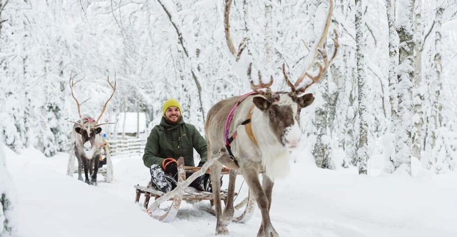 Rovaniemi: Saami Reindeer Farm Visit & Sleigh Ride - Getting From Rovaniemi To A Real Reindeer Farm In Two Hours