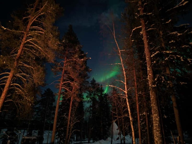 Rovaniemi:Santa Claus Village Guided Tour with Santa's gift - Key Highlights You Actually Feel During the Tour
