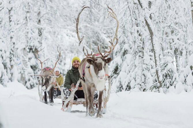 Rovaniemi Santa Claus Village Husky and Reindeer Tour VIP VAN - Timing and Logistics: A Realistic Look at an 8-Hour Winter Day