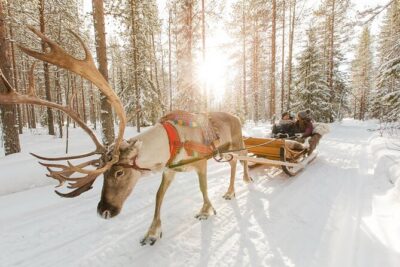 Rovaniemi Santa Claus Village Husky and Reindeer Tour VIP VAN