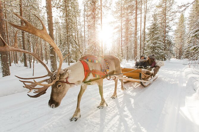 Rovaniemi Santa Claus Village Husky and Reindeer Tour VIP VAN - Santa Claus Village: Meet Santa, Then Use Your 3 Hours Wisely
