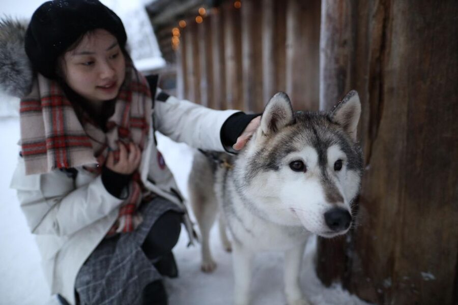Rovaniemi: Santa Claus Village Tour Huskies & Reindeer Visit - From Rovaniemi pickup to Santa Claus Village: how the day is timed
