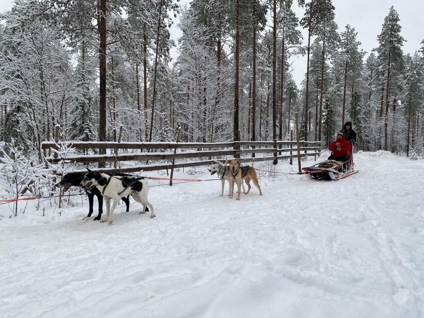 Rovaniemi: Santa Claus Village Tour Huskies & Reindeer Visit - Price and value: what you’re paying for (and what you aren’t)